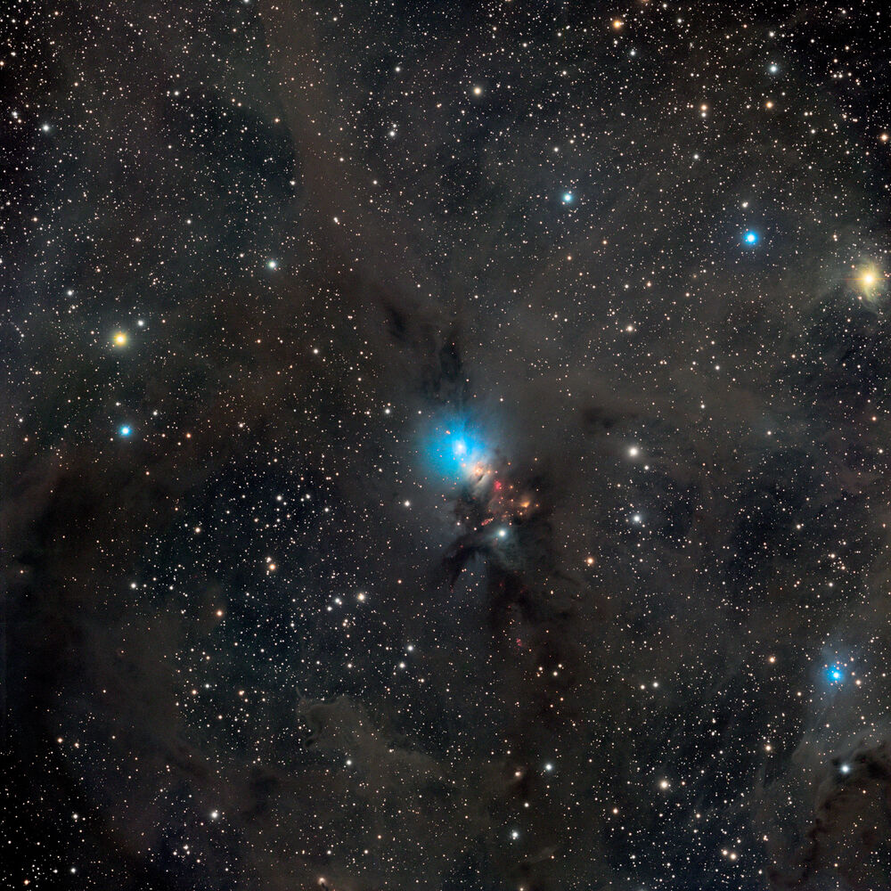 NGC 1333