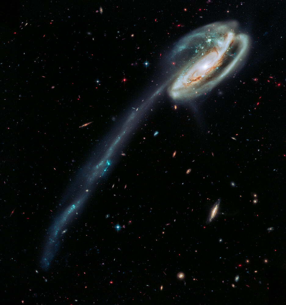 Tadpole Galaxy