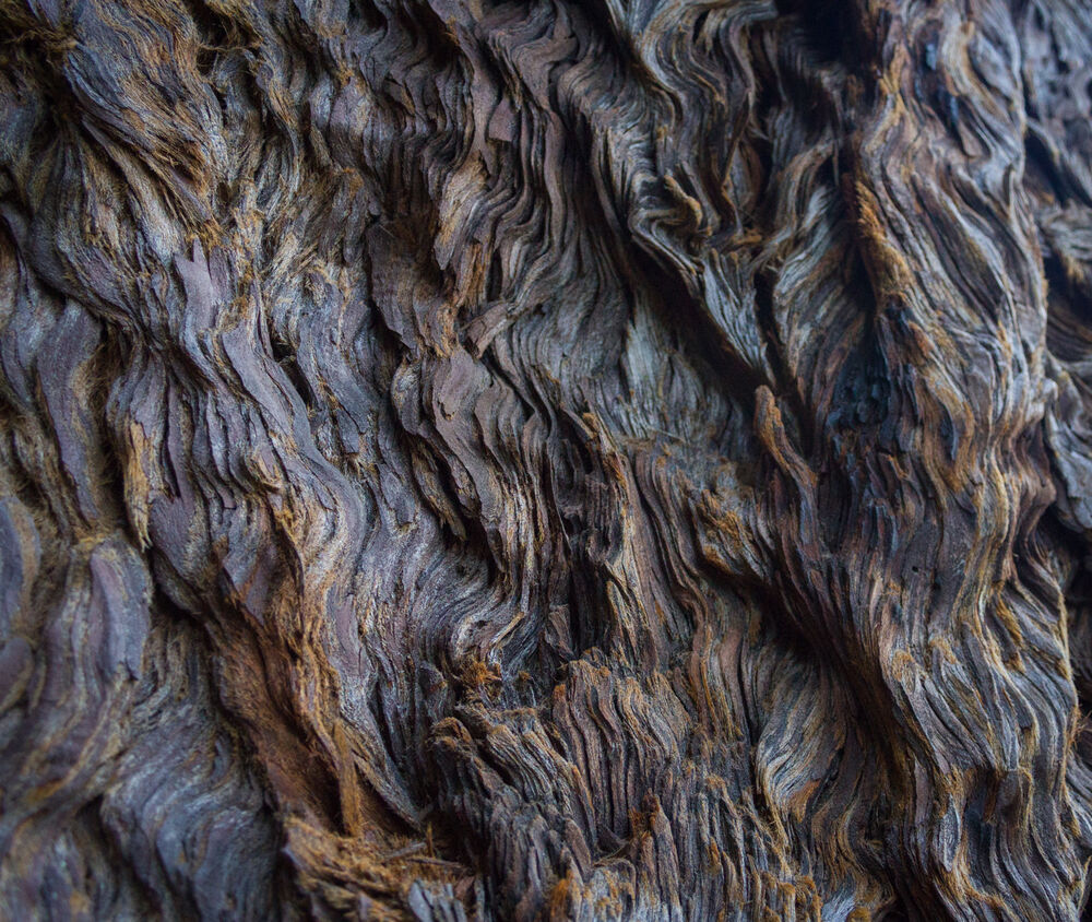 Waves of Wood