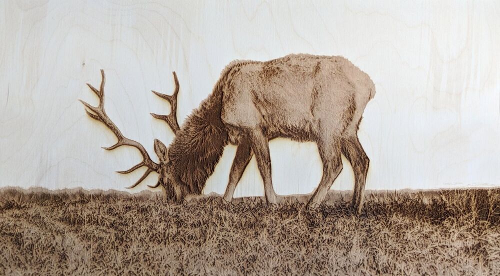 Grazing Laser Engraved
