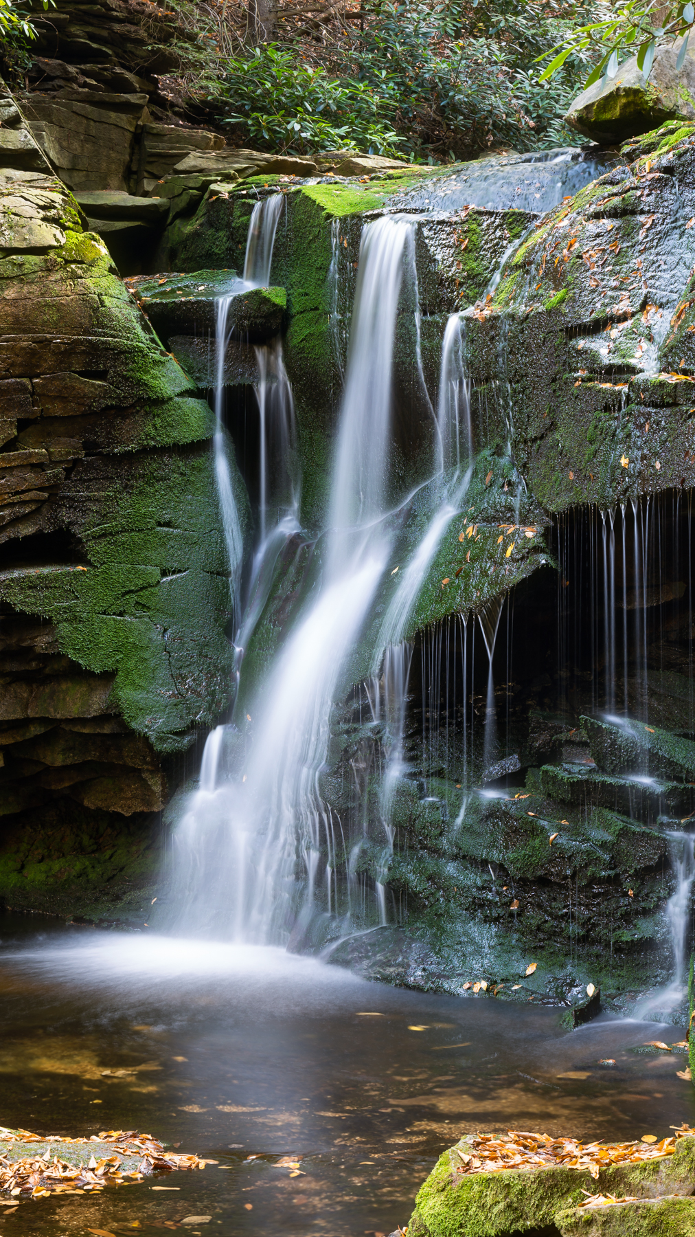 Elakala Falls 1