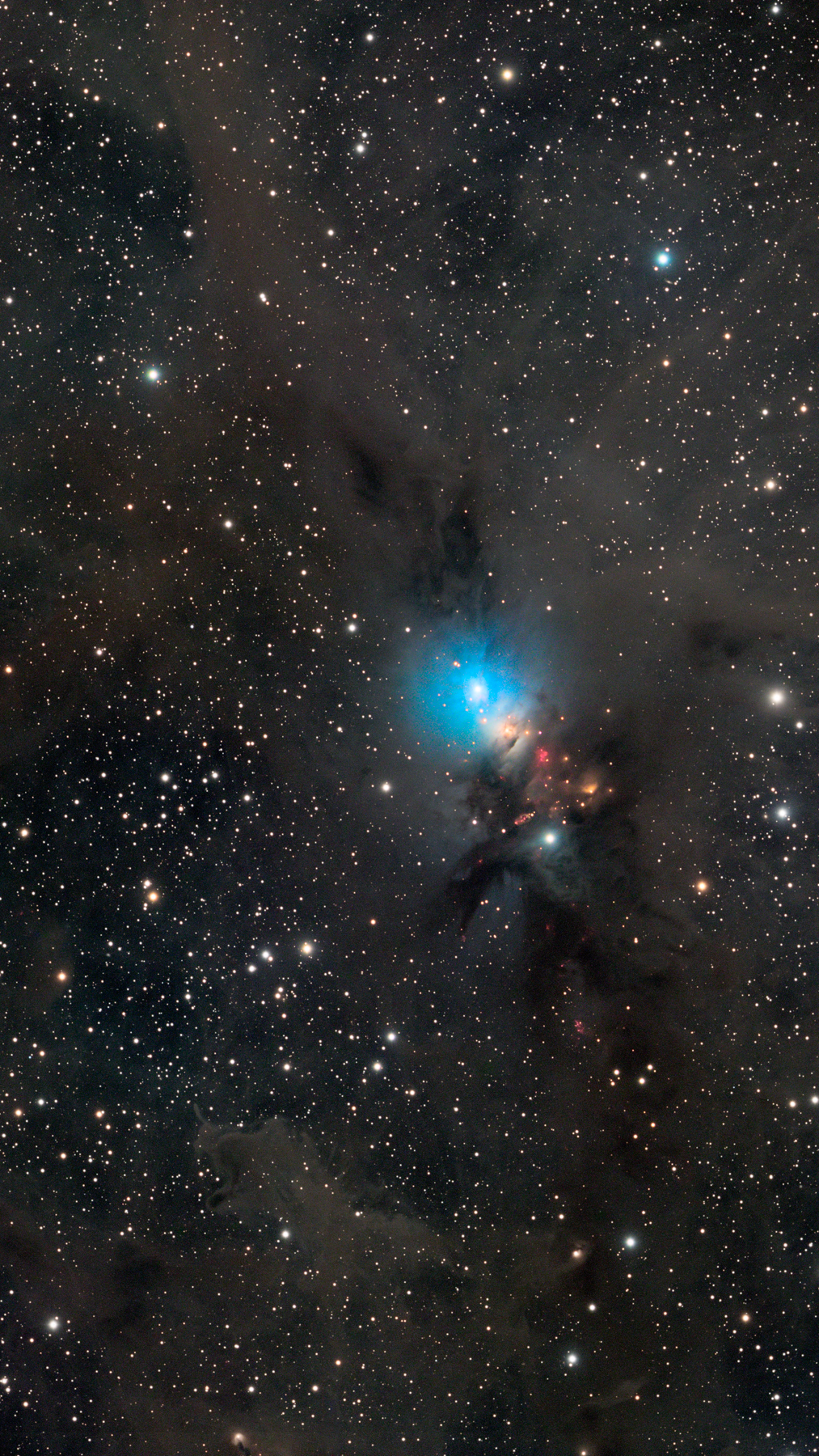 NGC 1333