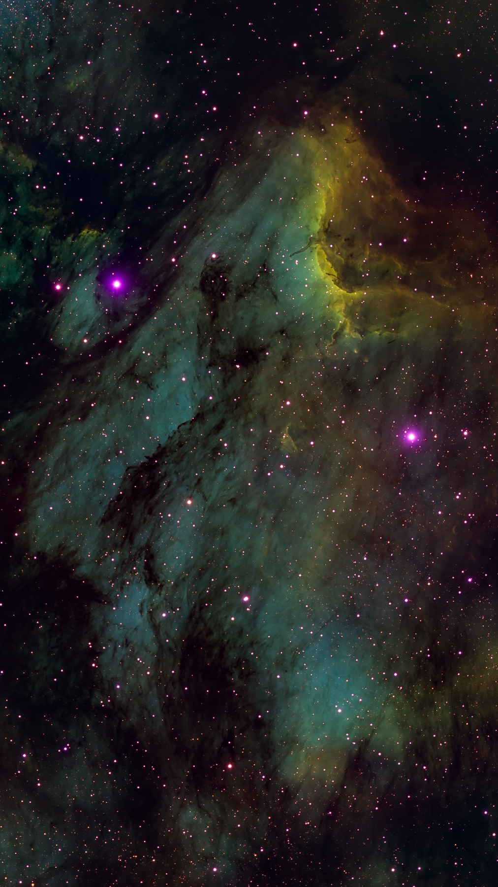 North America Nebula