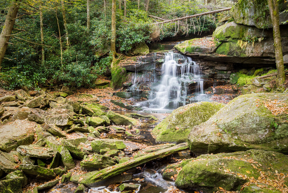 Elakala Falls 2