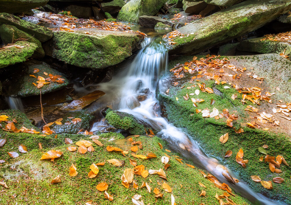 Stream