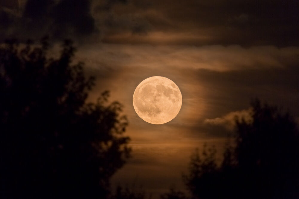 Hunter's Moon